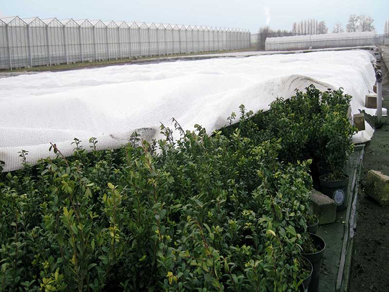 Horticulture Climate netting